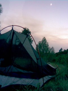 Camping in the middle of no where near Round Mountain off Highway 299